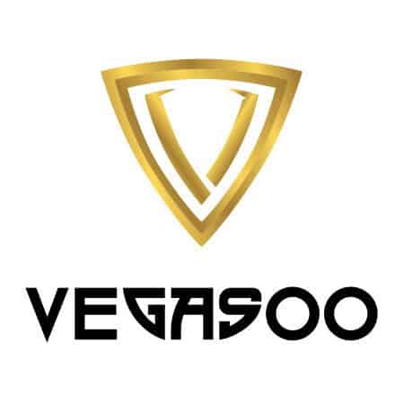 Vegasoo Casino Video Review