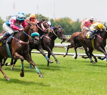 The Thrill of Betting on Virtual Horse Racing