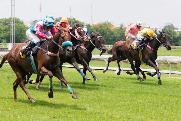 The Thrill of Betting on Virtual Horse Racing